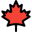 Canadian maple leaf coin are bullion coins of gold, silver, platinum or palladium icon