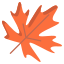 Maple Leaf icon