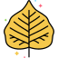 Bodhi Leaf icon