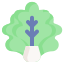 Salade icon