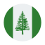 Norfolk-Insel-Rundschreiben icon