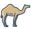 Camel icon