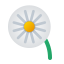 Dandelion icon