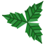 Mint Leaf icon