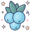 Blueberries icon