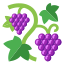 виноградная ветвь icon
