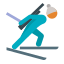 biathlon-peau-type-3 icon