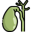 Gallbladder icon