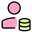 Data storage by a user for the company server icon