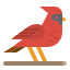 Cardinal icon