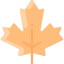 Leaf icon