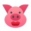 Schwein mit Lippenstift icon