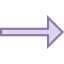 Right Arrow icon