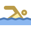 Nadar icon