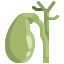 Gallbladder icon