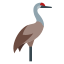 pájaro-grulla icon