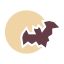 Bat icon