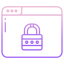 Website Lock icon