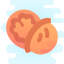 Ореховая скорлупа icon
