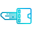 Smart Key icon