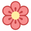 Primavera icon