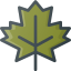 Maple Leaf icon