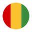 Guinée-circulaire icon