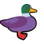 Pato icon