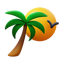 Zona tropical icon