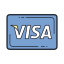 Visa icon