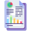 Data Report icon