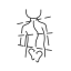 Idiopathic Scoliosis icon
