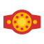 Champion Belt icon