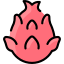 Pitaya icon