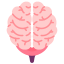 Brain icon