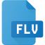 FLV File icon