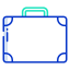 Valise icon