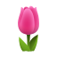 tulipe-emoji icon