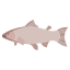 Salmon Fish icon