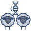 Sheep DNA icon