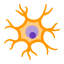 neurônio icon