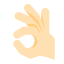 ok-mão-pele-tipo-1 icon