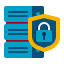 Data Security icon