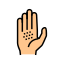 Spices on Palm icon