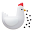 Feeding Chicken icon