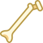 인간의 뼈 icon