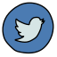 Twitter eingekreist icon