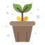 太陽の下の植物 icon