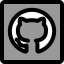 GitHub icon