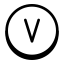 带圆圈的V icon